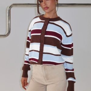 Soline Knit Cardigan Blue / Brown Stripe