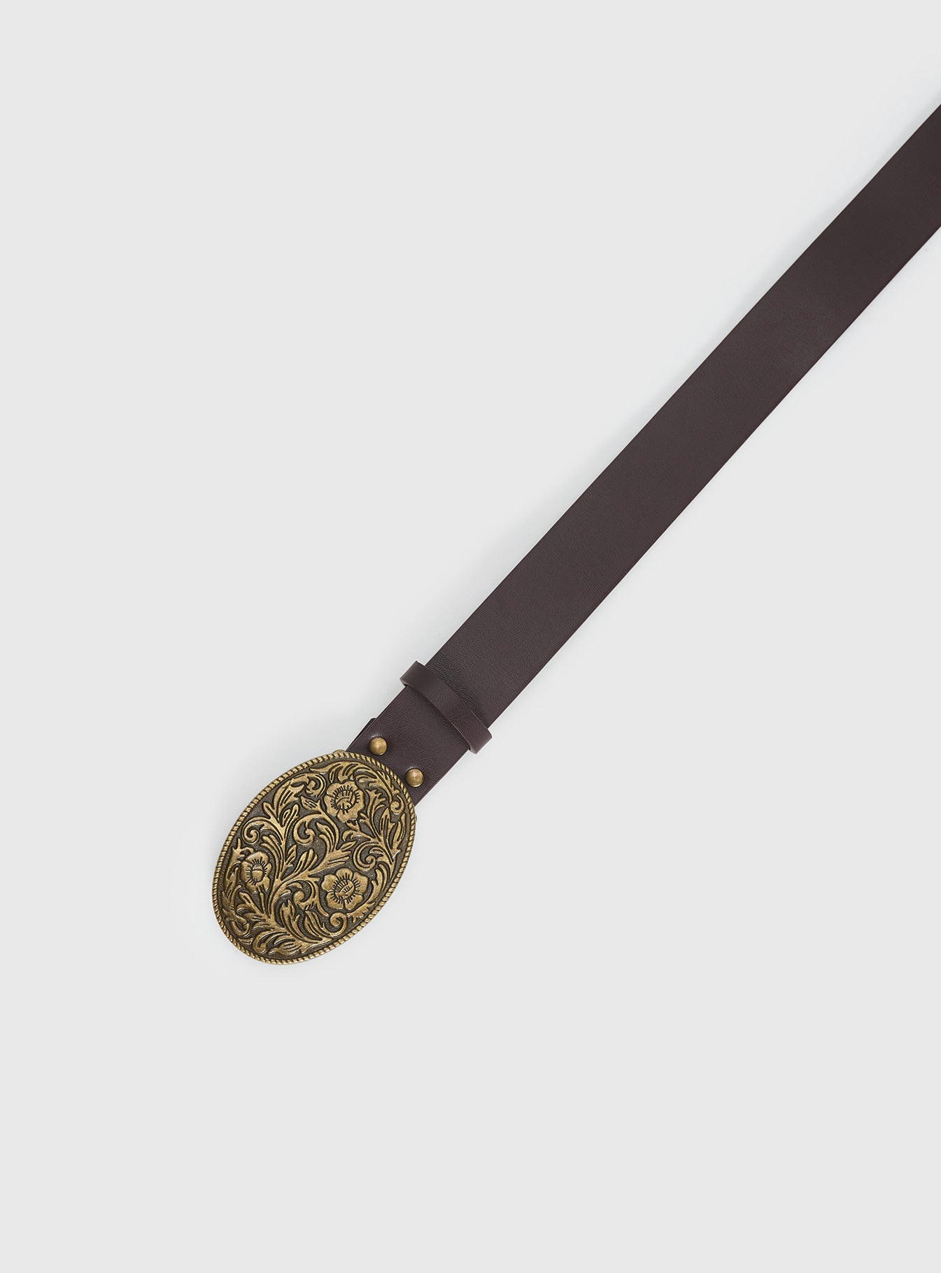 Independence Western Belt Brown / Gold - Image 3
