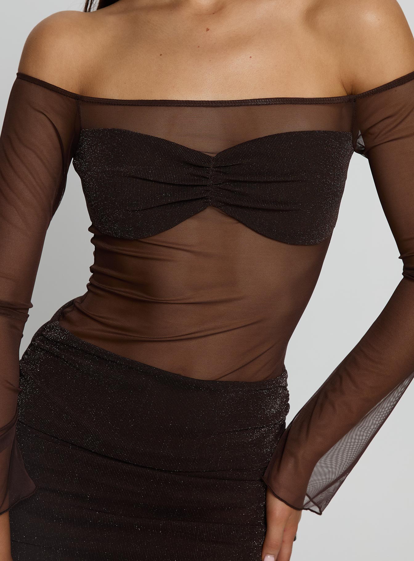 Briseida Mesh Long Sleeve Mini Dress Chocolate - Image 5