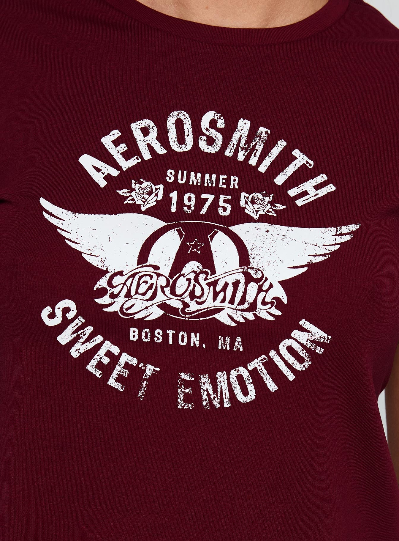 Aerosmith Vintage Graphic Top Burgundy - Image 6